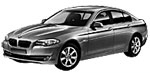 BMW F10 P3025 Fault Code